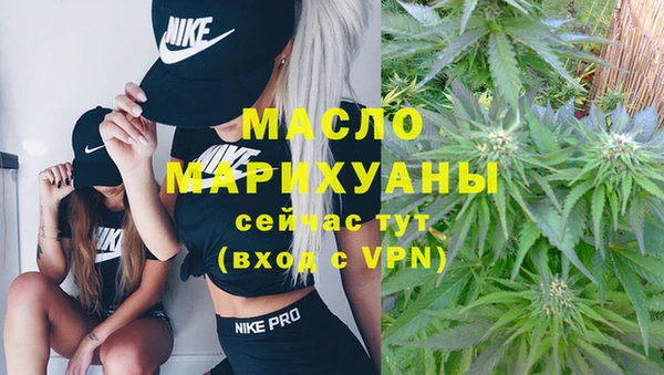 мет Ельня