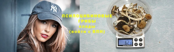 мет Ельня