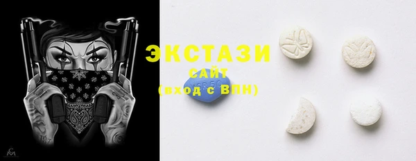мет Ельня