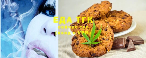 мет Ельня