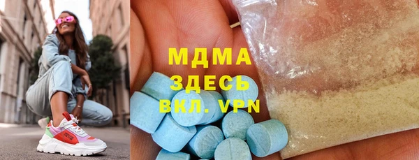 мет Ельня