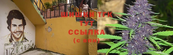винт Елабуга